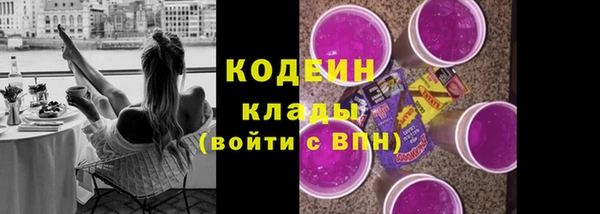 гидра Арсеньев