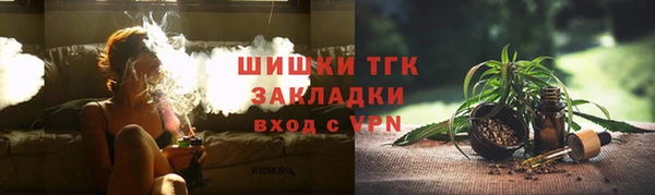 гидра Арсеньев