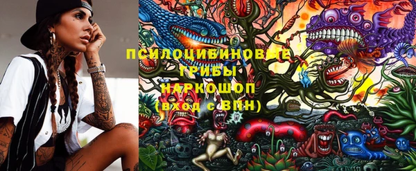 каннабис Аркадак