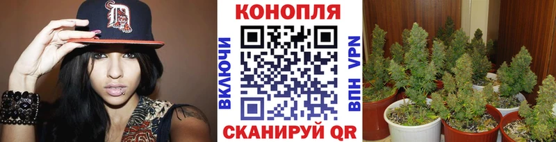Бошки Шишки марихуана  Себеж 